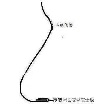 鼻子根部在哪里