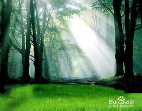 春天有哪些美丽的景色