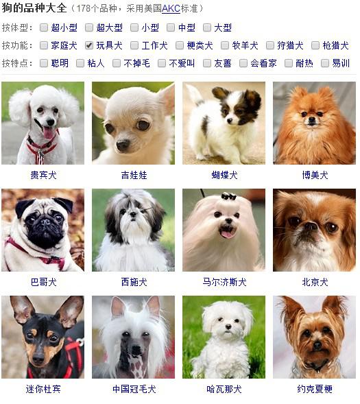 中国狗的种类有哪些,狗有多少种品种_竞价网