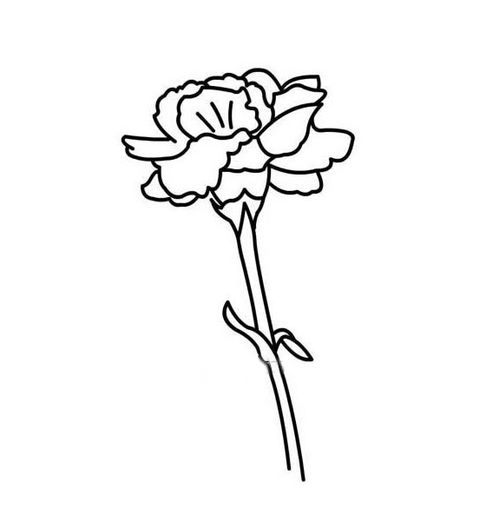 母亲节画什么画最简单