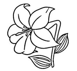 简单的花怎么折?