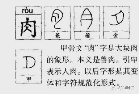 带有贝字旁的字大多与什么有关