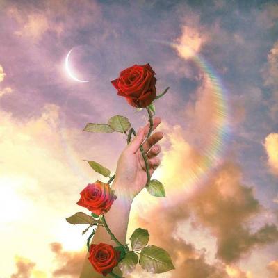 单独一朵花头像带四个字