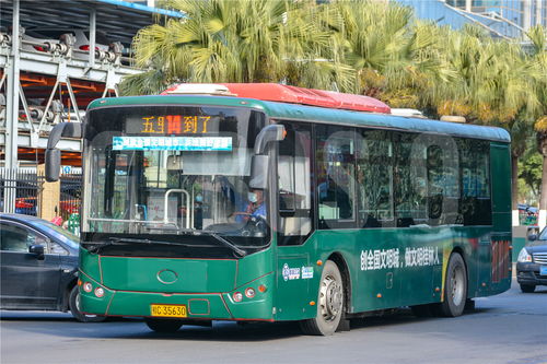 洛阳市14路公交车的线路明细