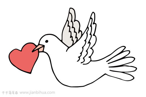 和平鸽怎么画简单又好看