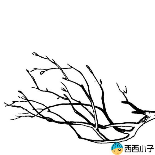 简单的树枝简笔画图片图片