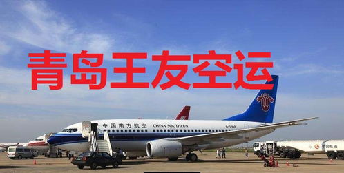 飞机托运宠物价格表
