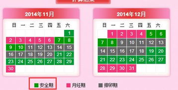 计算安全期的软件