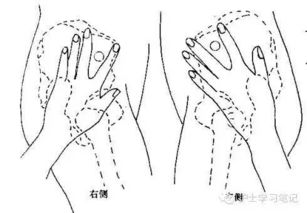 肌肉注射部位编辑1,臀大肌注射法定位:十字法:从臀裂顶点向左或右划一