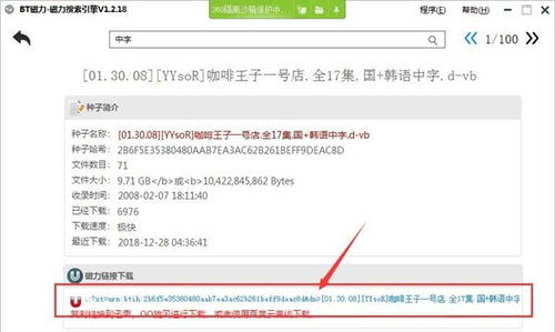 磁力搜索搜索引擎