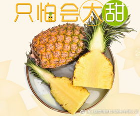凤梨与菠萝的区别图