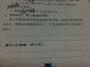 是也是怎么造句子三年级
