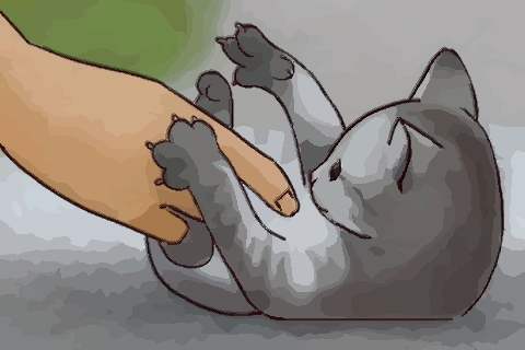 梦见被猫抓伤了手背