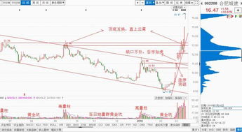 蚂蚁金服股票代码994256