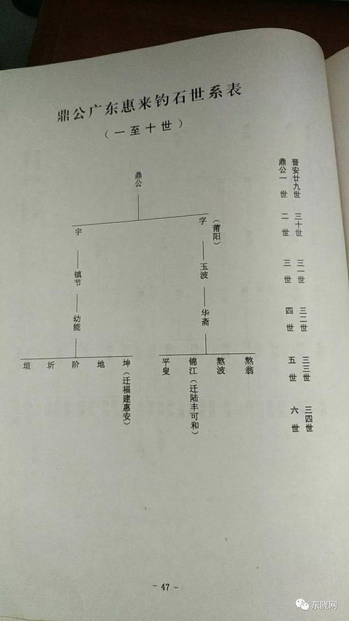 辈分表图片