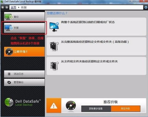 戴尔笔记本怎么恢复出厂设置win11
