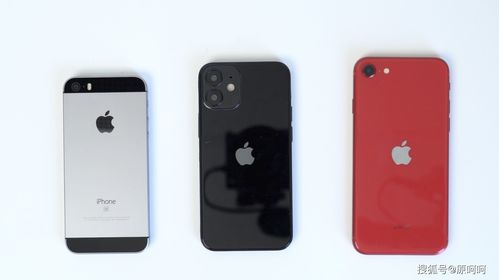 苹果手机型号对比图