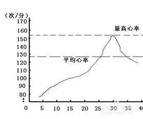 心率过缓怎么调理好