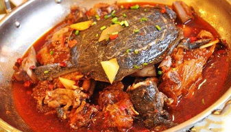 如果你想知道"霸王别姬"具体属于什么菜系,我会告诉你:江浙菜-苏菜