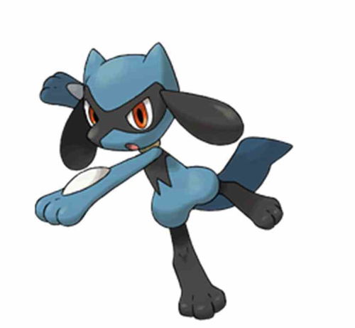 利欧路怎么进化成路卡利欧