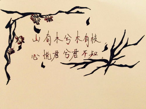 山有木兮木有枝,心悦君兮君不知什么意思