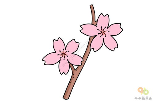 樱花怎么画简笔画又漂亮,樱花怎么画简笔画又漂亮 古风