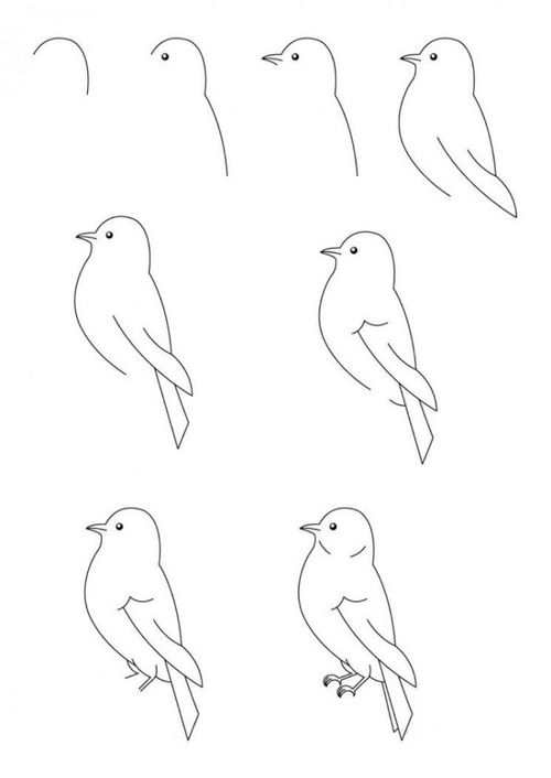 画简单又可爱的小鸟图片