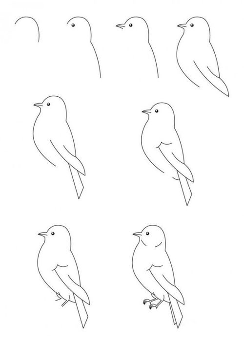 画鸟的简笔画,鸟怎么画简单好看_竞价网
