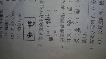 踏的多音字注组词