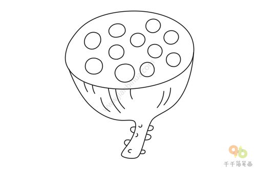 捺二,笔顺如图:三,莲的释义:1,多年生草本植物,生在浅水中,地下茎肥大
