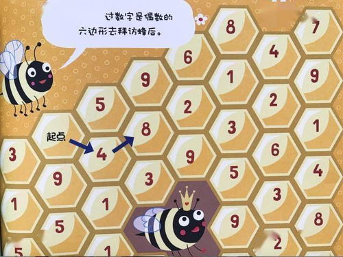 奇数是什么意思?