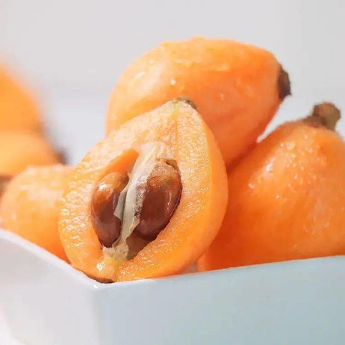 loquat诗歌（loquat是什么意思） loquat诗歌（loquat是什么意思） 诗歌赏析