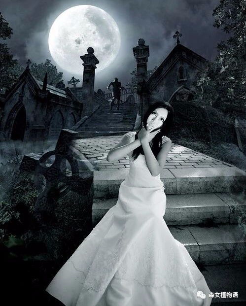 如果梦见鬼上身怎么办？解读梦境背后的深层含义与应对策略