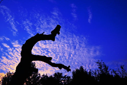 祈盼是什么意思 怎么理解祈盼的意思