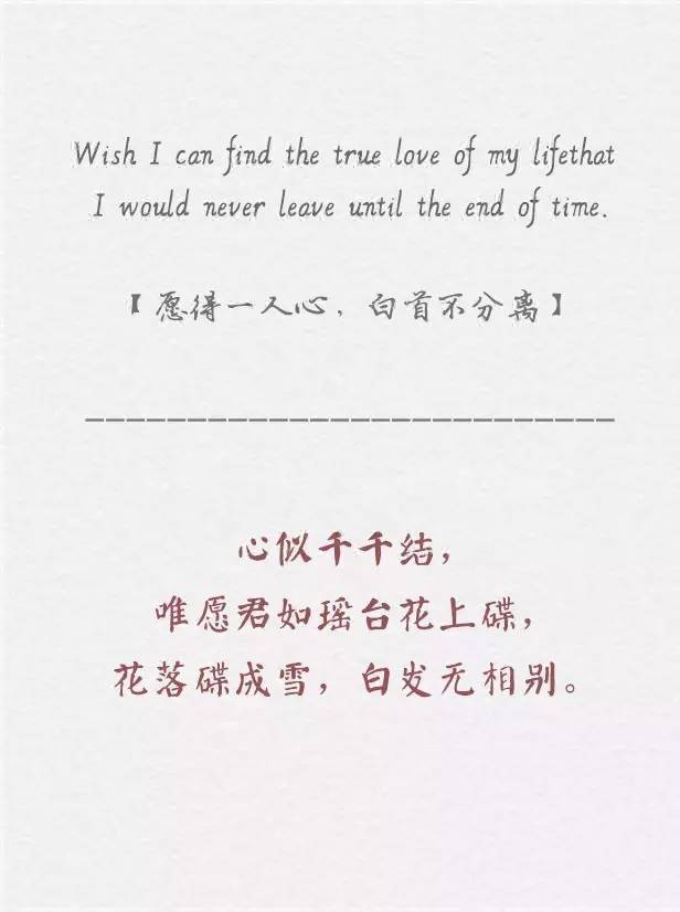 最浪漫的英语表白句子