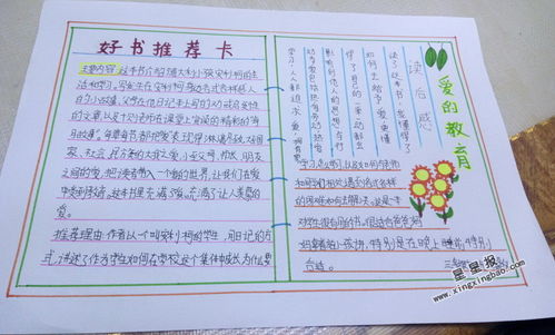 二年级好书推荐卡模板简单又漂亮,二年级好书推荐卡手抄报