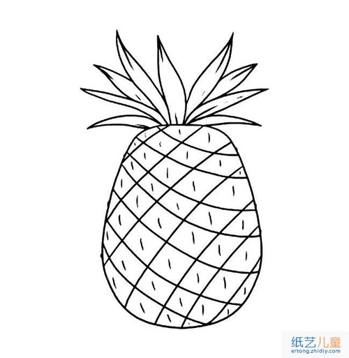 菠萝简笔画图片带颜色,菠萝简笔画可打印_竞价网