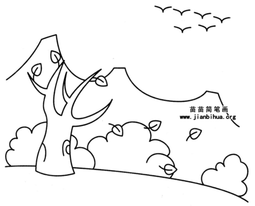 秋天落叶图片简笔画