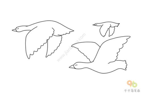 简笔画大雁的画法