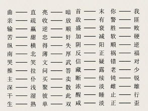 高贵的反义词是什么 标准答案