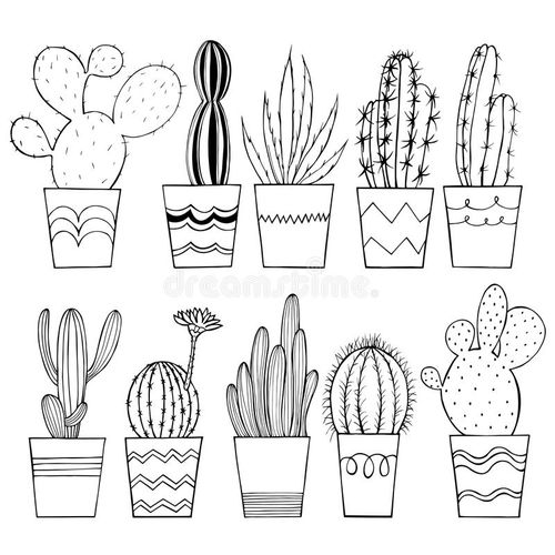 仙人掌的简笔画图片,仙人掌的简笔画图片大全大图(可爱)_竞价网