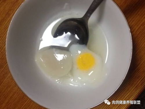 鸽子蛋和鸡蛋哪个营养价值更高