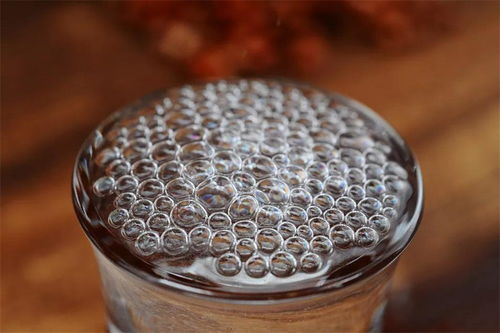 鱼龙混珠是什么意思?