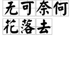 无可奈何的意思是什么