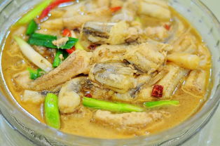 鲜煮丝丁鱼鲜煮丝丁鱼制作原料:1,丝丁鱼半斤2