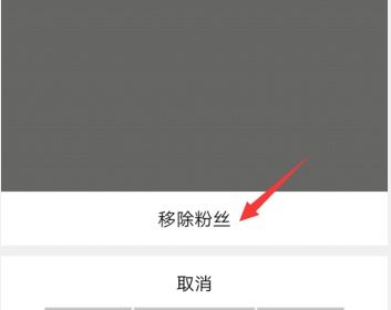 粉丝英文怎么说