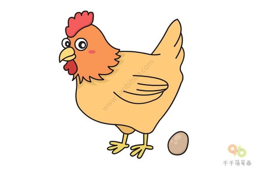 鸡的简笔画法 彩色图片