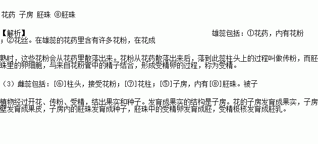 什么的桃花填空词语,abab什么的桃花填空_竞价网