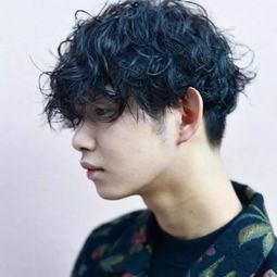 男生烫发价格表图片