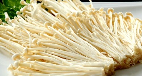 金针菇怎么种植方法视频